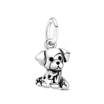 Pet Love Charm Set in 925 Sterling Silver – Paw Prints & Companions