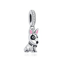 Pet Love Charm Set in 925 Sterling Silver – Paw Prints & Companions