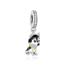 Pet Love Charm Set in 925 Sterling Silver – Paw Prints & Companions