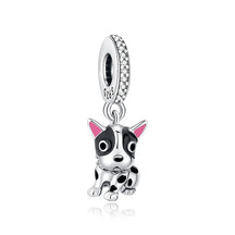 Pet Love Charm Set in 925 Sterling Silver – Paw Prints & Companions