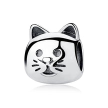Pet Love Charm Set in 925 Sterling Silver – Paw Prints & Companions
