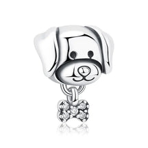 Pet Love Charm Set in 925 Sterling Silver – Paw Prints & Companions