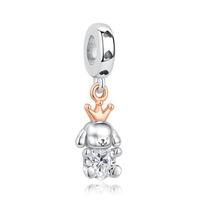 Pet Love Charm Set in 925 Sterling Silver – Paw Prints & Companions